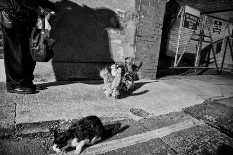 Uspecto Images agency dublin denis' mission story Tomasz Bereska reportage street photography
