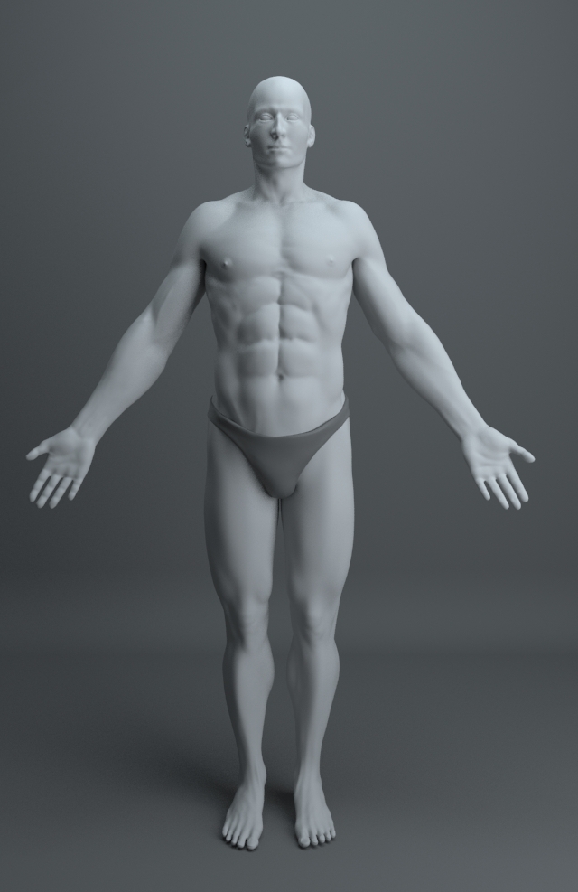 characters anatomy human
