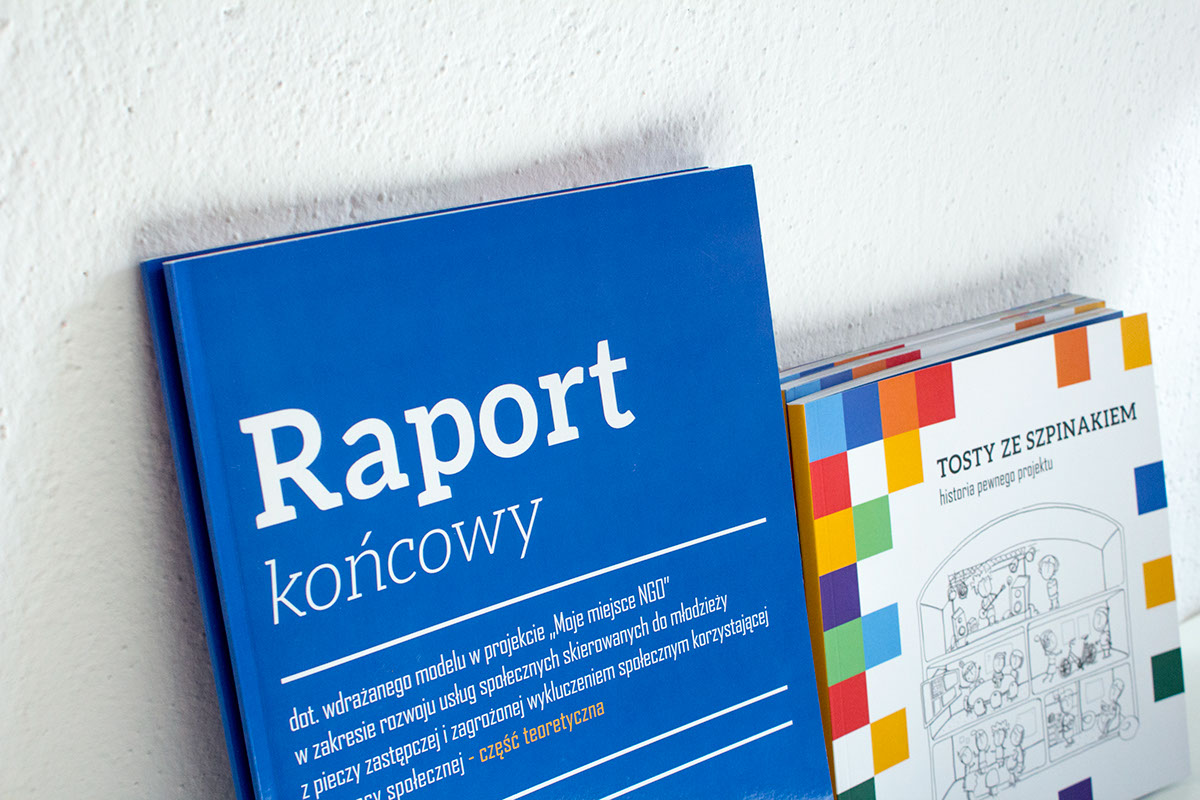 publication print raport NGO coulture