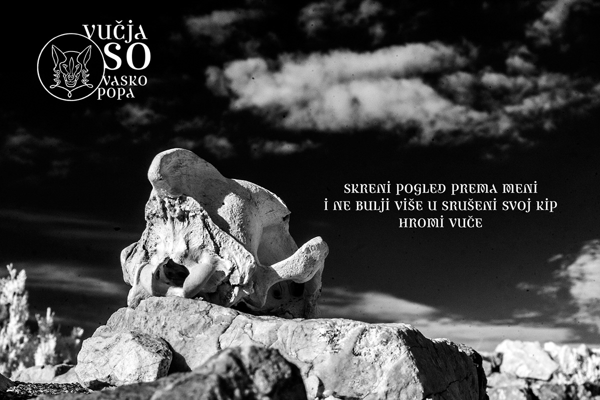 Poetry  wolf skull dog bone feather stone fortress infrared ethnology serbian Vasko Popa Salt