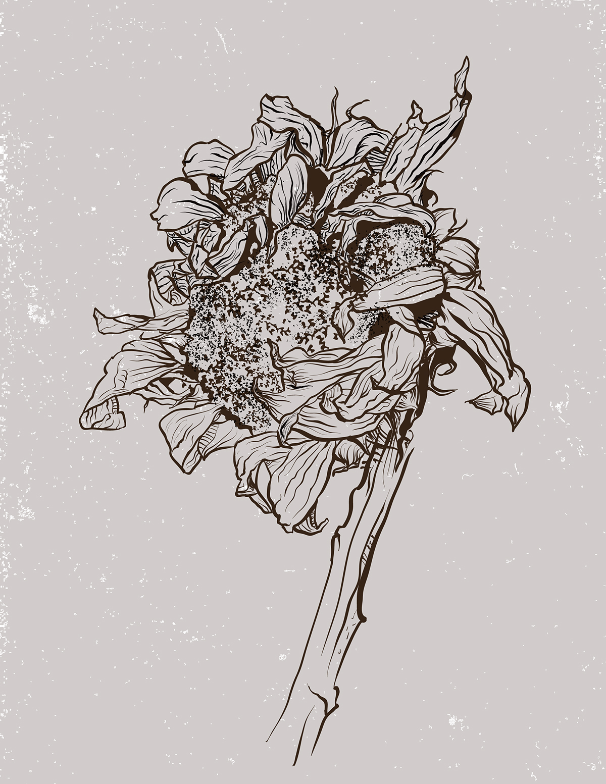#illustration #decay #Vector #sunflower