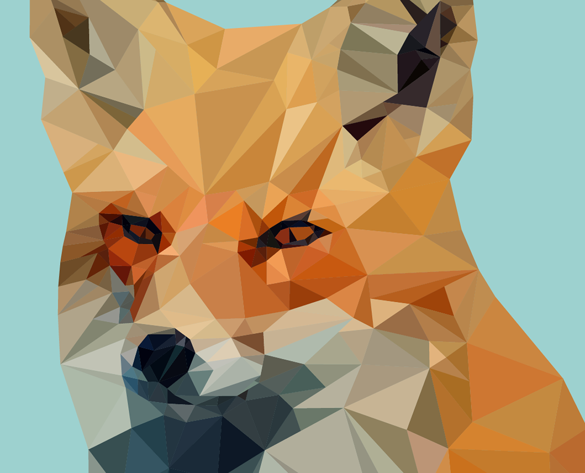 polygon illustrations FOX Foxy technical drawing lowpoly different