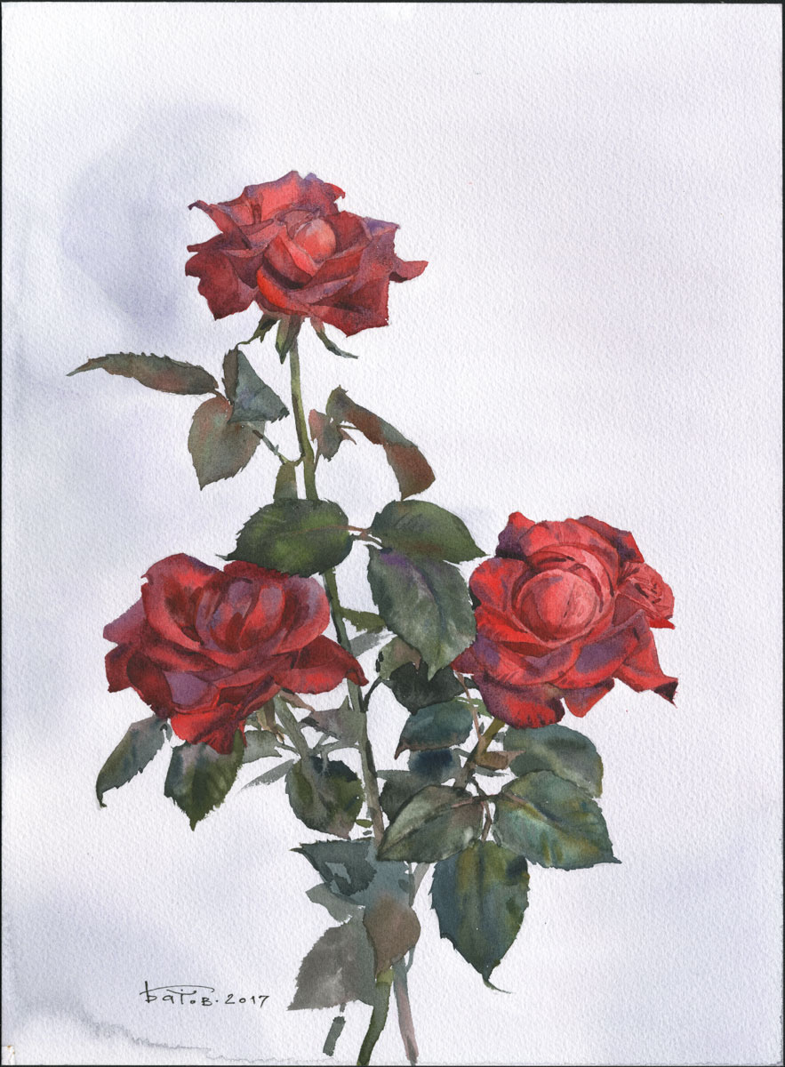 painting   watercolor watercolour Flowers Roses stilllife wip акварель натура живопись