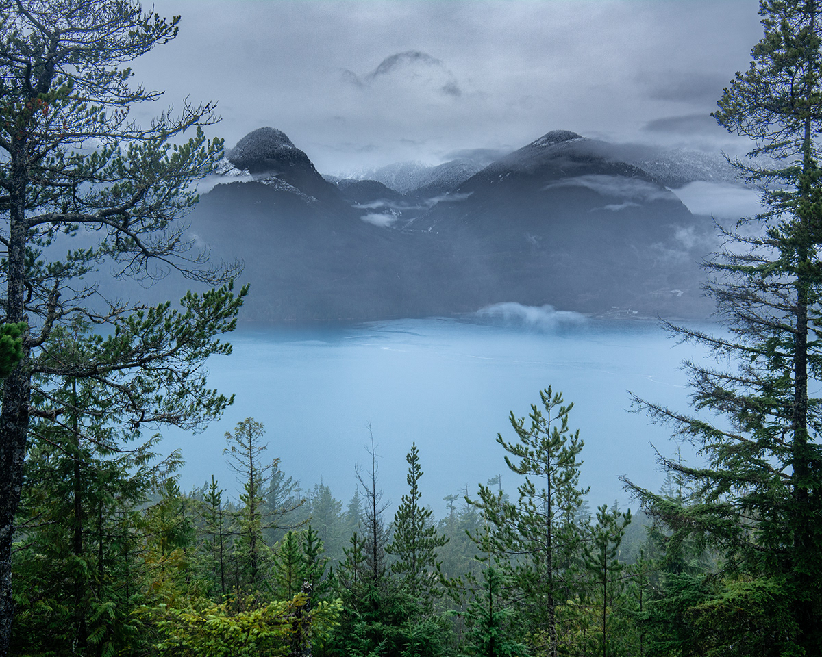 Canada british columbia vancouver landscape photography nature photography fine art photography Nature green Moody gloomy