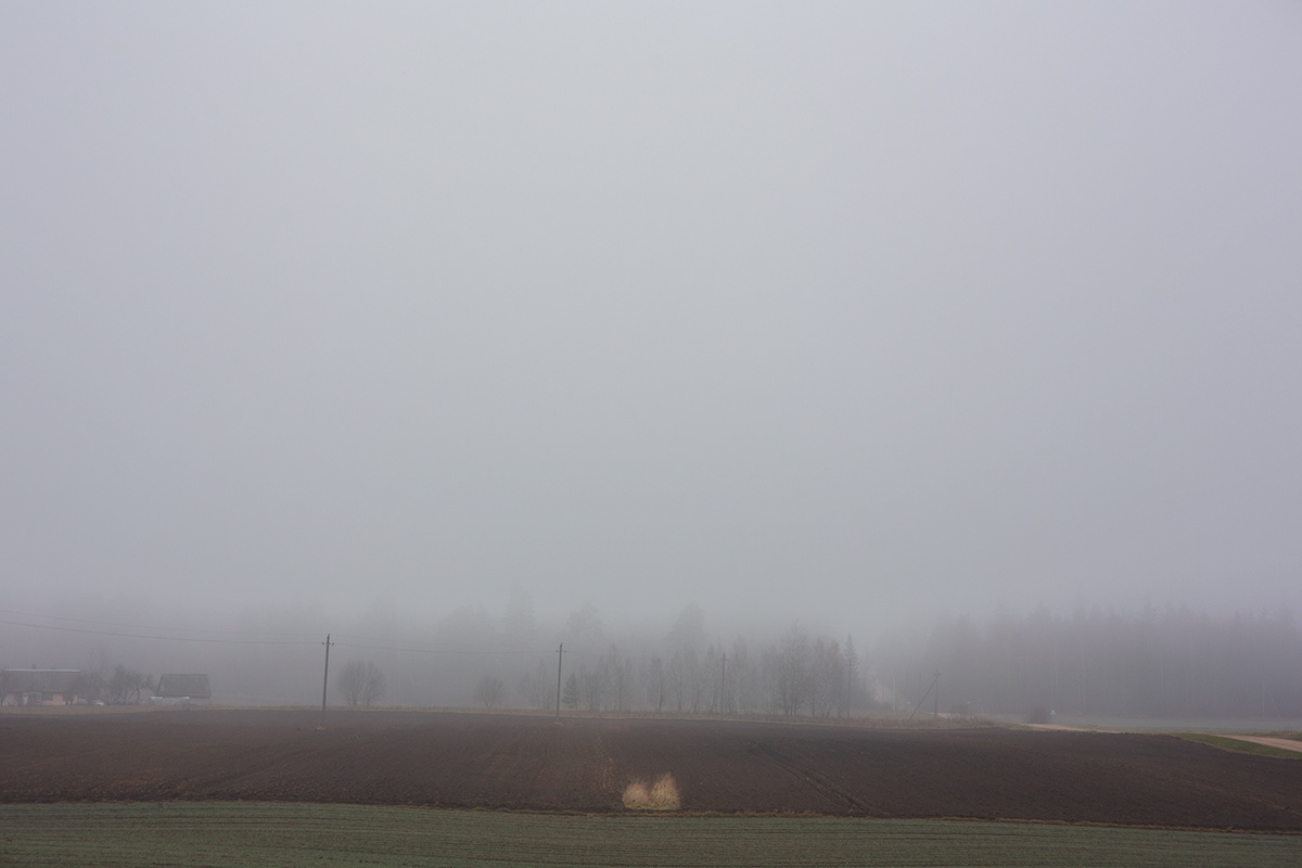 lietuva lithuania Landscape fog mist autumn Fall Mindaugas Buivydas Fog landscape Sad Nature