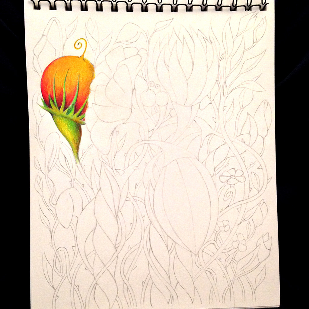 Nature flower Flowers timecore art pencil faber-castell polychromos woods forest creature green black freehand print