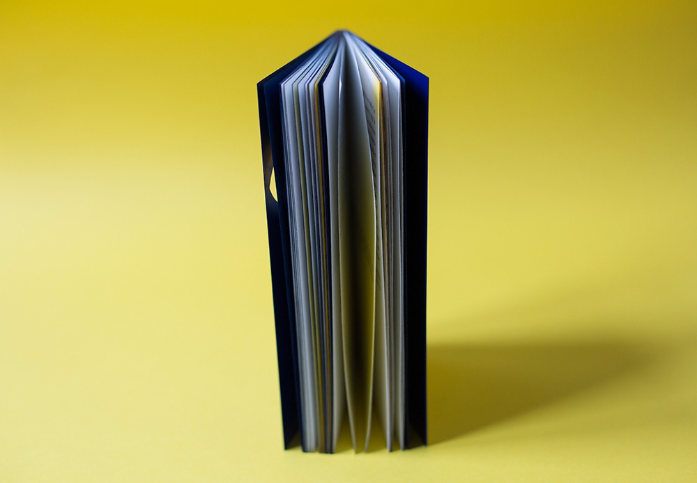 book book design book cover cover yellow blue eyes editorial typography   wells