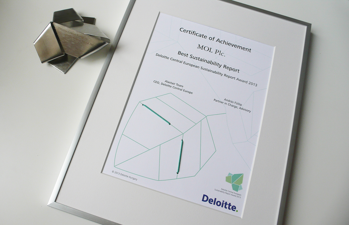 award Sustainability frog certificate origami  stainless steel