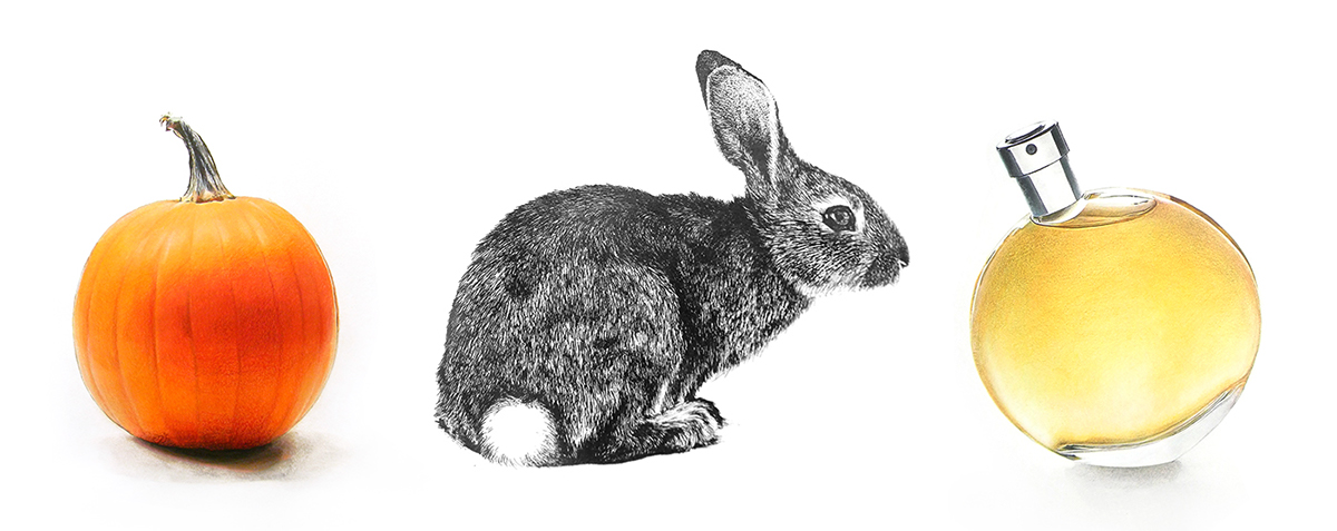 art pumpkin perfume rabbit рисунок тыква кролик Духи