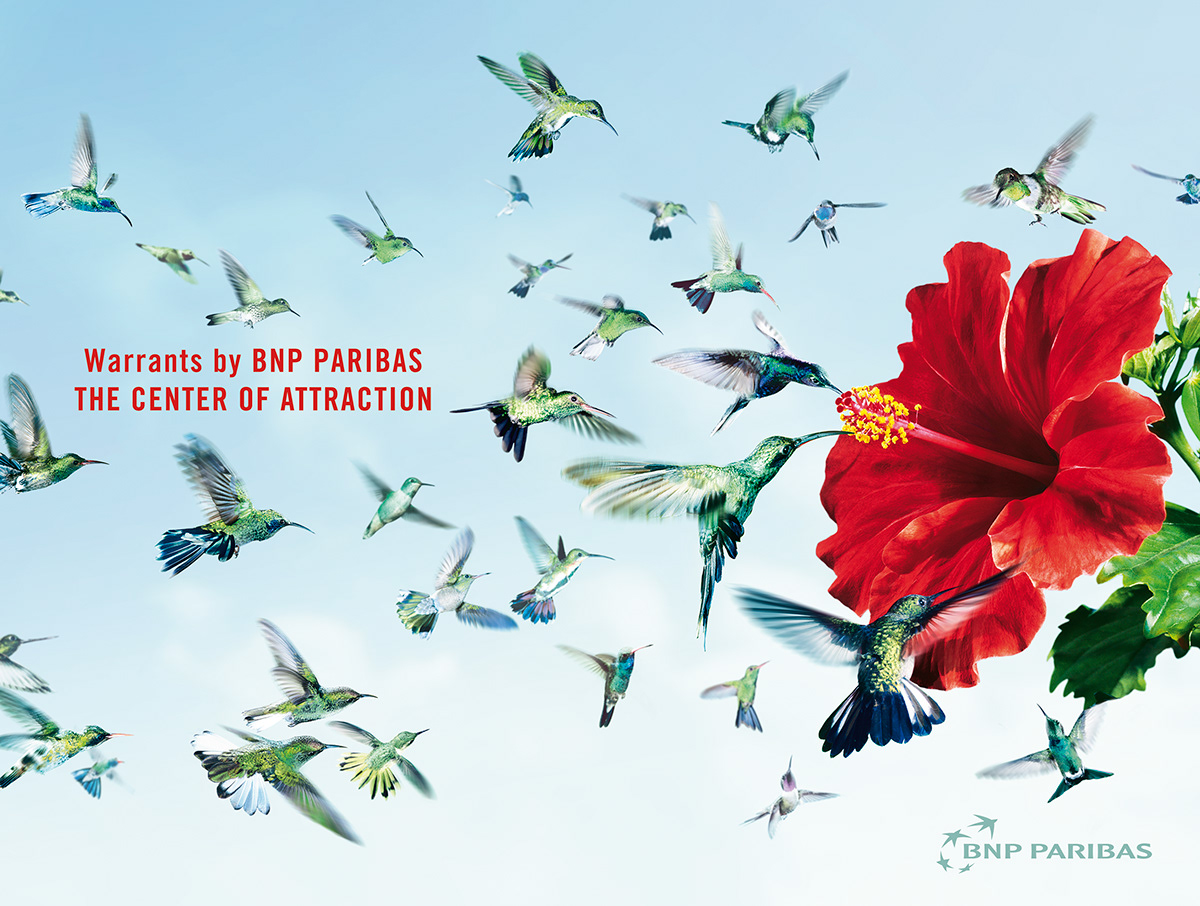 bnp bnp paribas Warrants birds flower Attraction colibris