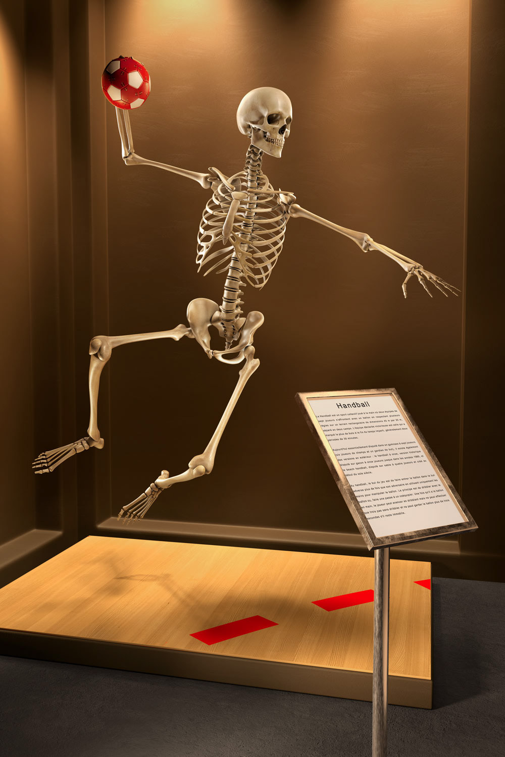 sports skeleton discovered museum 3D environment humanity