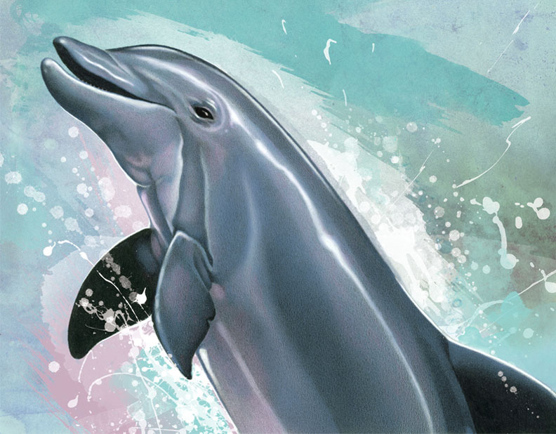 bottlenose dolphin Wildlife Illustration