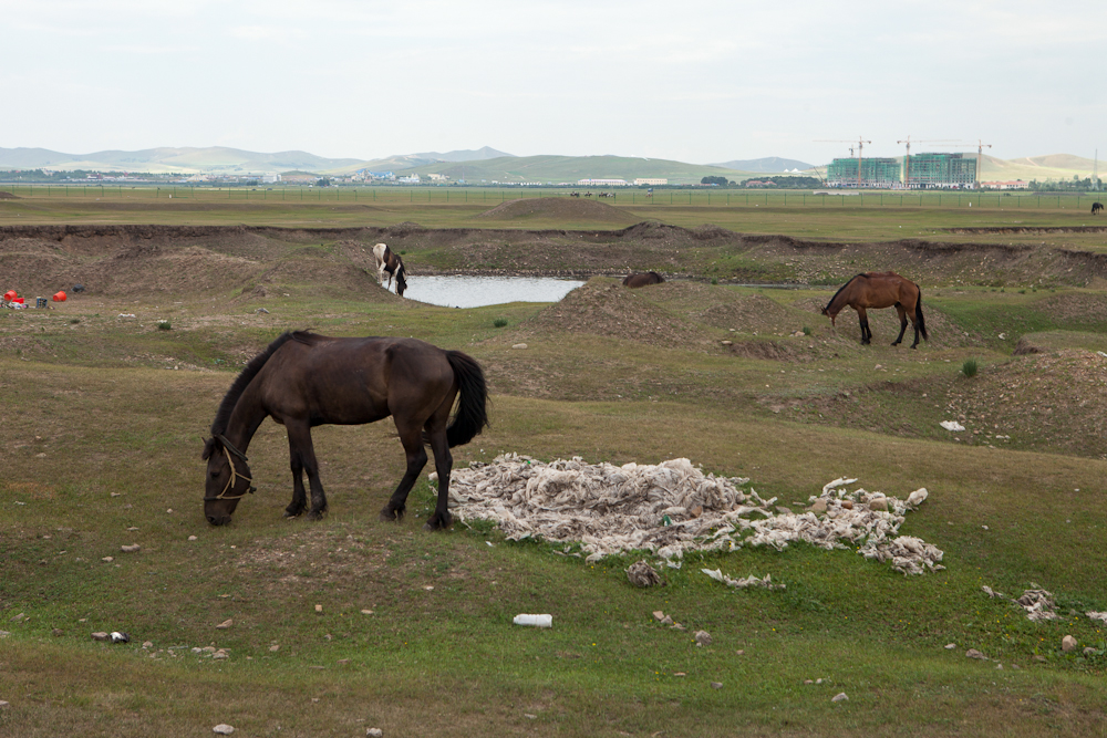 wasteland bashang china trash grasslands horses Greenpeace savetheworld