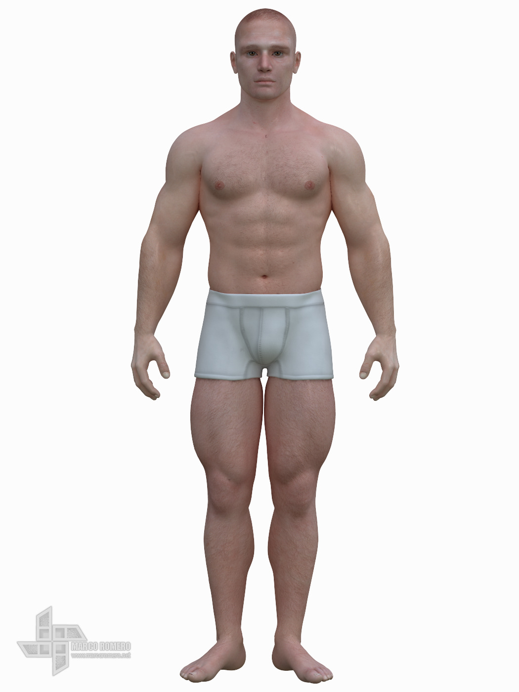 3D human man male guy sport anatomy iPad iphone app virtual Education actor media Poser