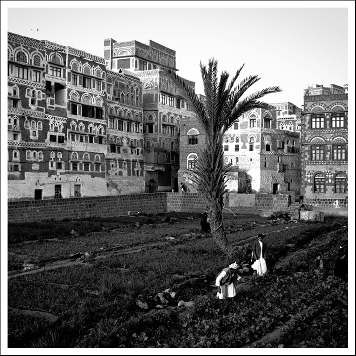 Adobe Portfolio Sana'  yemen islam Wadi Dhahr Dar al-Haja Jambiya qat UNESCO palace