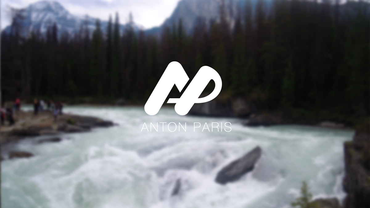 personal branding logo mock up Anton Paris  colours typography  
