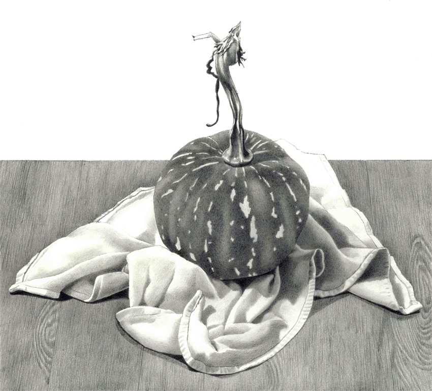 pumpkin graphite botanical illustration vegetable illustration vegetable graphite drawing Editorial Illustration detailed pencil sketch