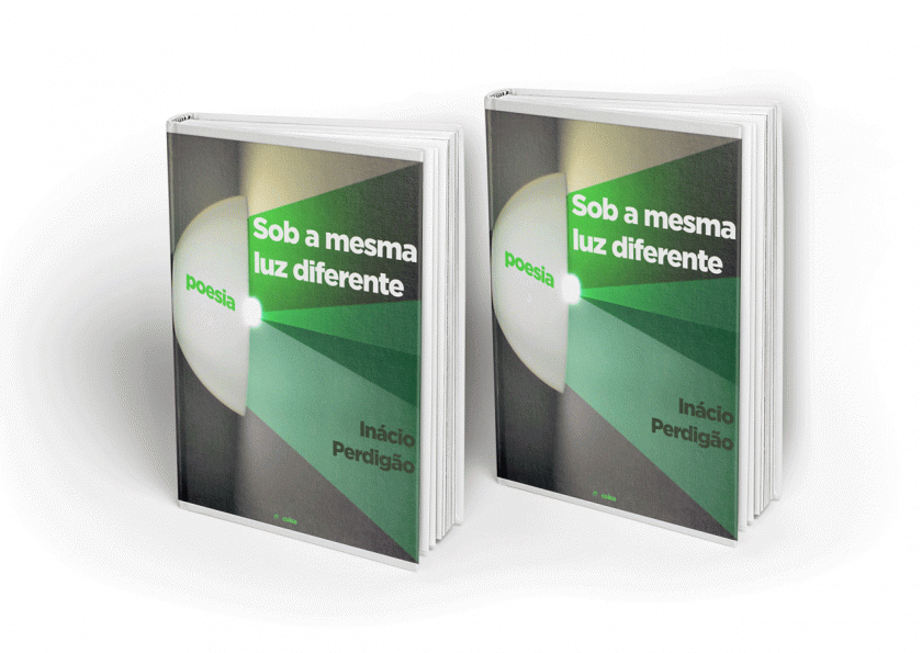 experimental academic Image manipulation book covers capas de livros Book Cover Design Mundo da Arte Art World Made In Portugal