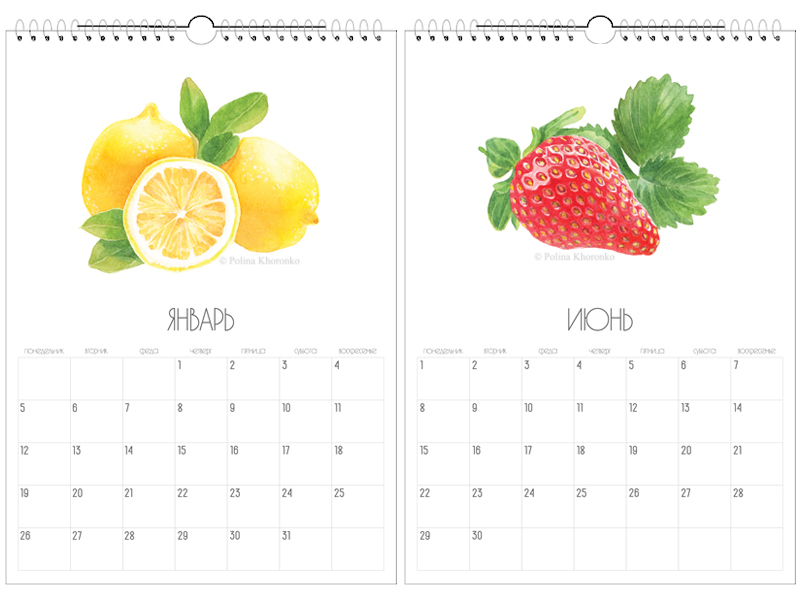 watercolor food illustration fruits vegetables berries watercolour calendar botanical