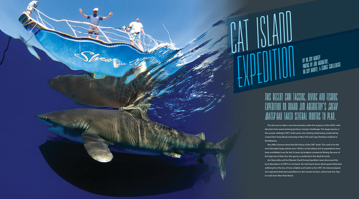 magazine ocean conservation Layout