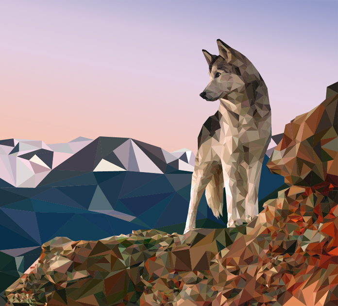 Low Poly wolfdog wolf dog Sunrise cliff vector art