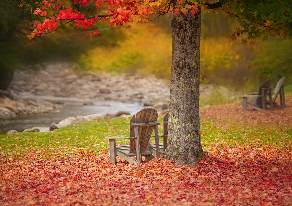 Falls autumn Vermont