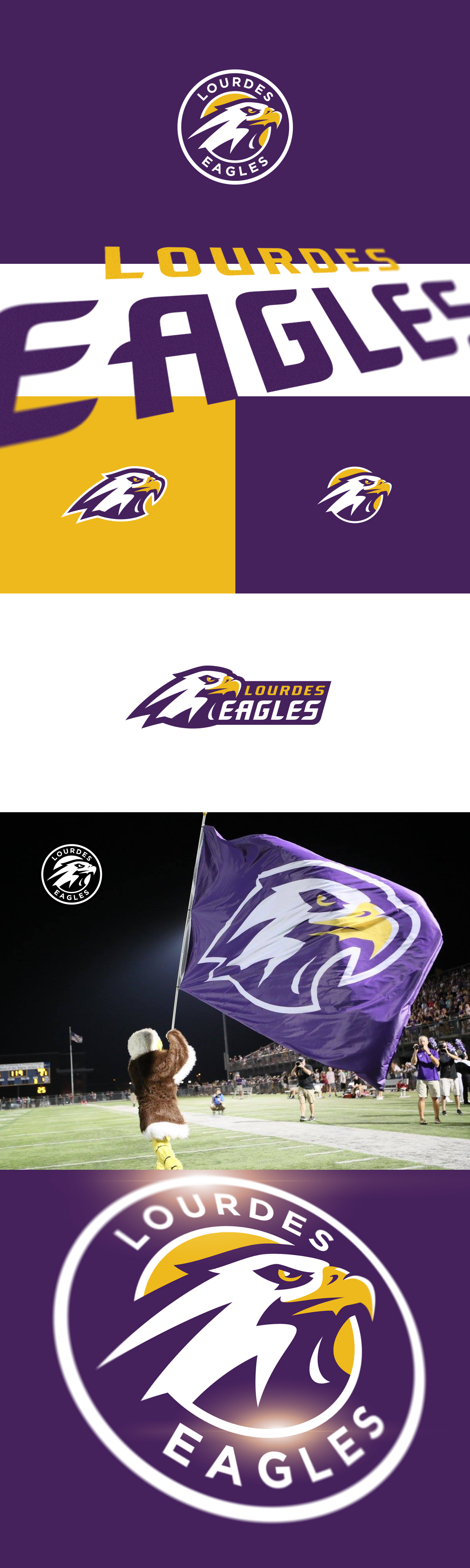 rochester lourdes eagles rcs eagles eagle design mascot design Sports Branding athletic logo Graphic Maniac