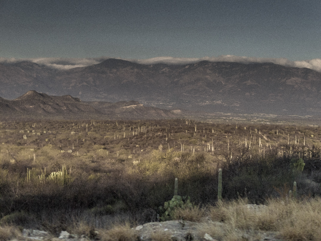 Landscape mexico oaxaca desert mountains central america