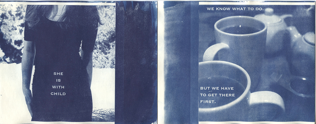 books book making Custom Encyclopedia The Sandman cyanotype alt pro alt processes alternative processes