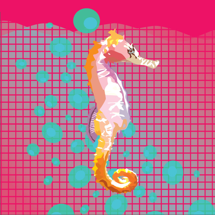 seahorse seahorses vector vectorart vectorartist colorful disco aquatic aqua tiles bubbles sea Ocean underwater