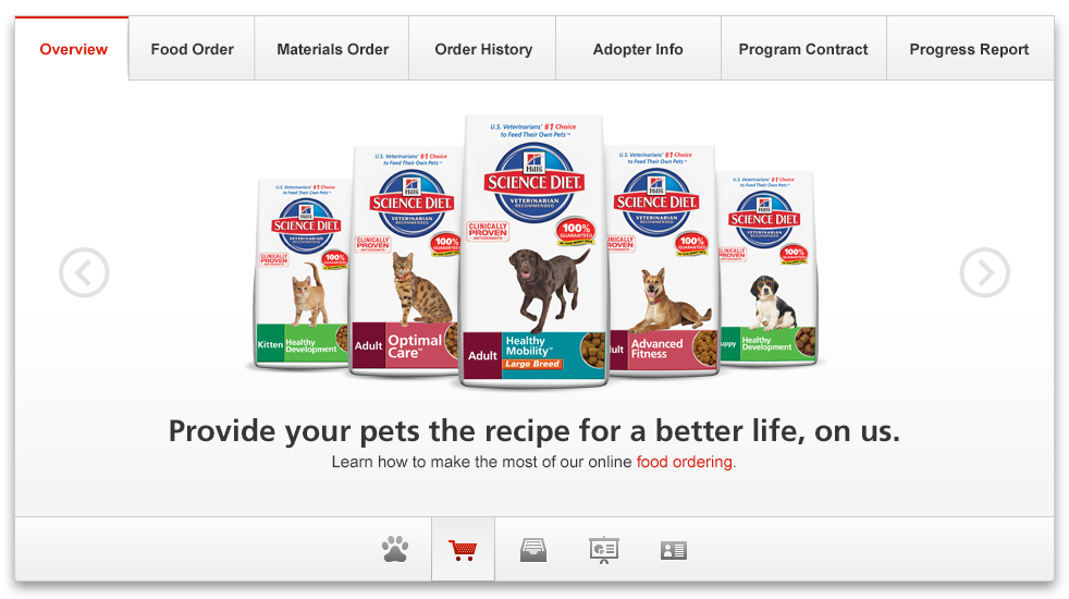 Website Design  web portal pets animal shelter