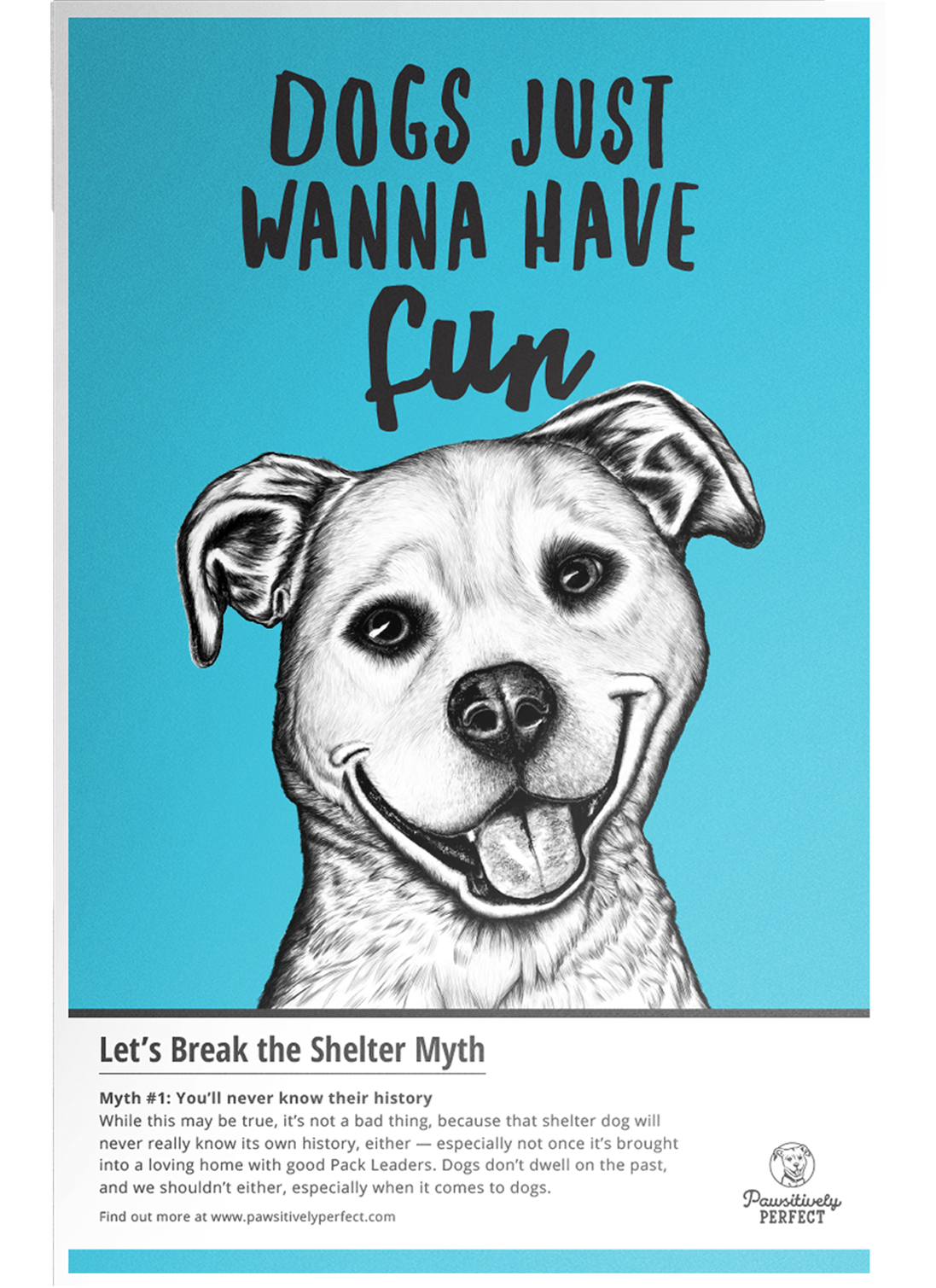 senior thesis dog adoption rescue shelter Website book Handbook ad campaign Guidebook portrait Pet Portrait dog portrait milwaukee institute