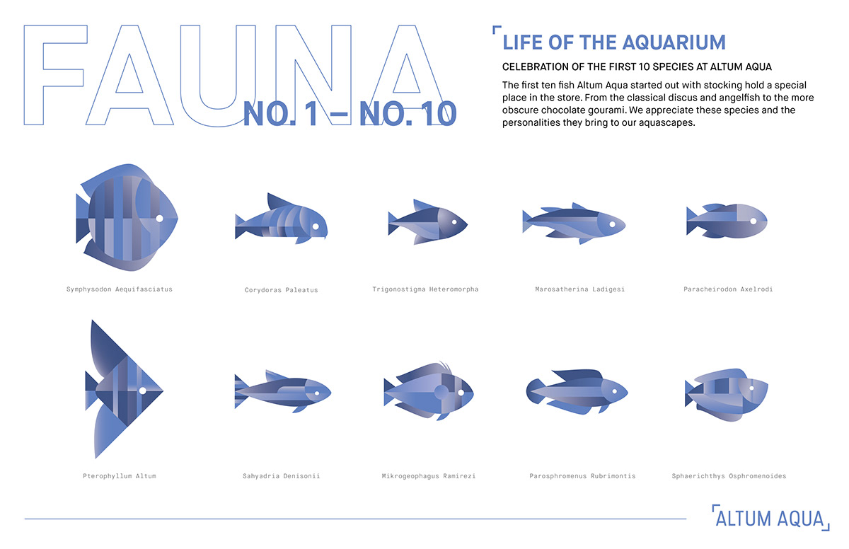 fish store branding  fish store aquascaping aquatics ILLUSTRATION  adobeawards