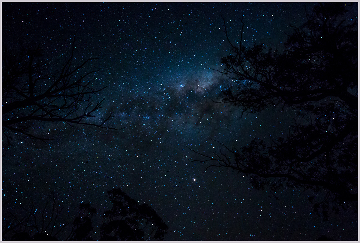milky way Constellations astrophotography trees jindabyne night sky Australia mars stars