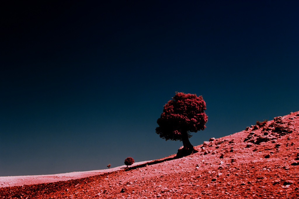 infrared  entropy weird fantastic landscapes Morocco africa atlas sahara psychedelic