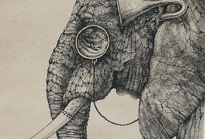 art pen graphics elephant