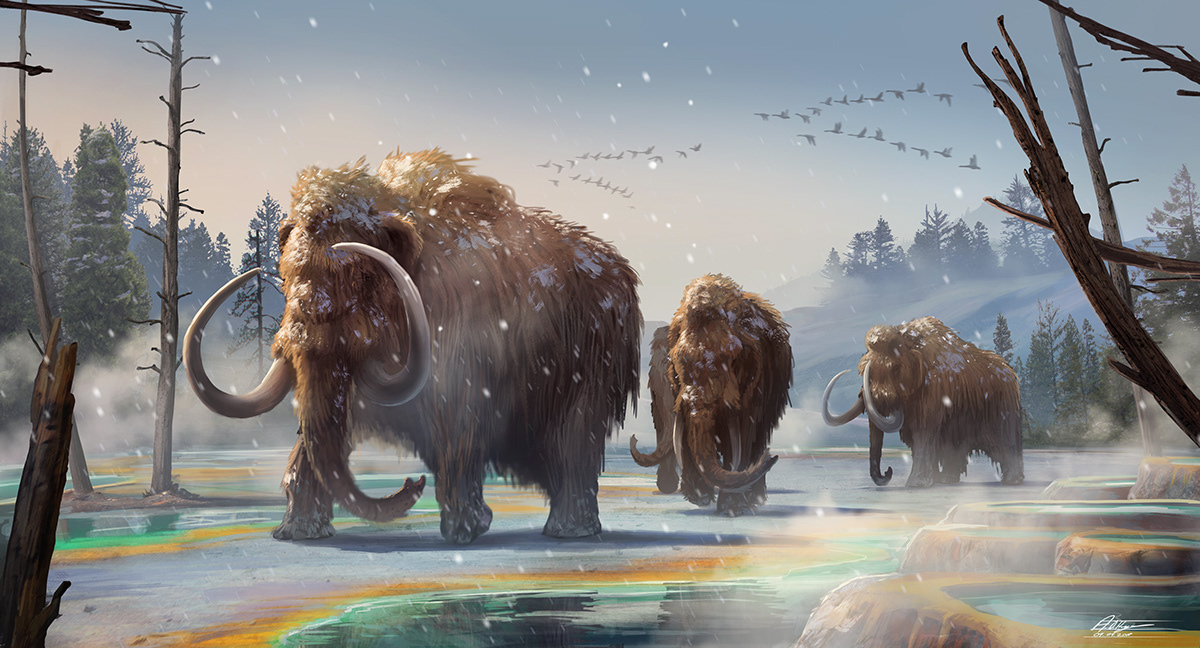 concept art ILLUSTRATION Digital Art design fantasy creatures woolly mammot...