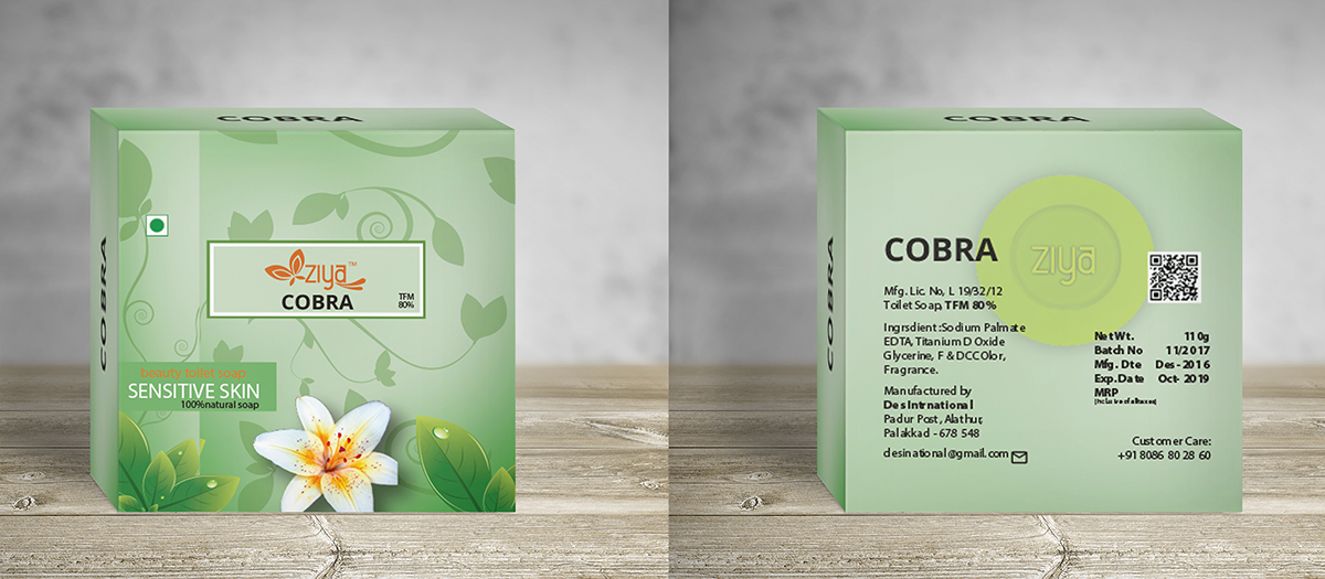 branding  creative designing ILLUSTRATION  mock up modern Packaging