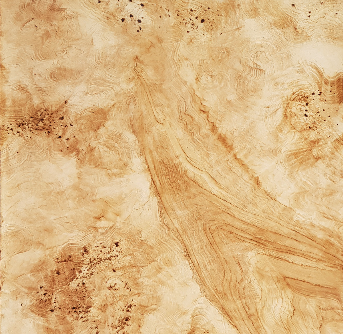 decorative painting faux bois mahogany walnut burl wood