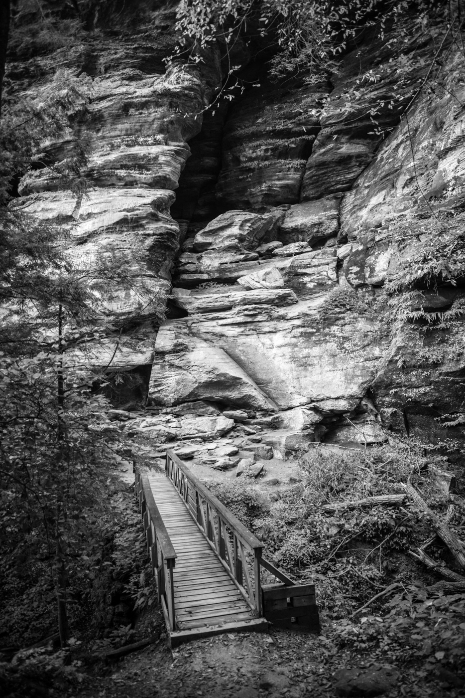 hocking hills Landscape ohio color black and white trees forest state park