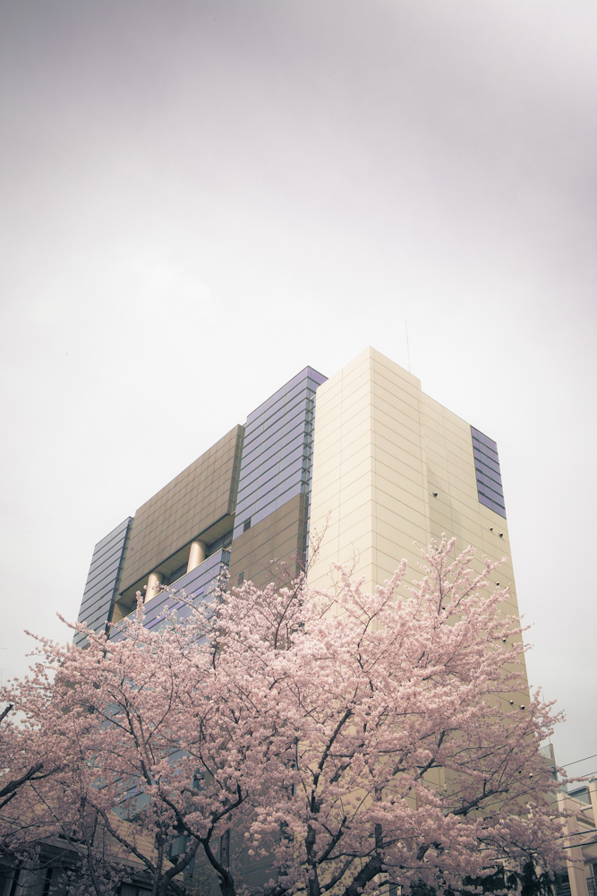 building sakura tokyo shinjyuku