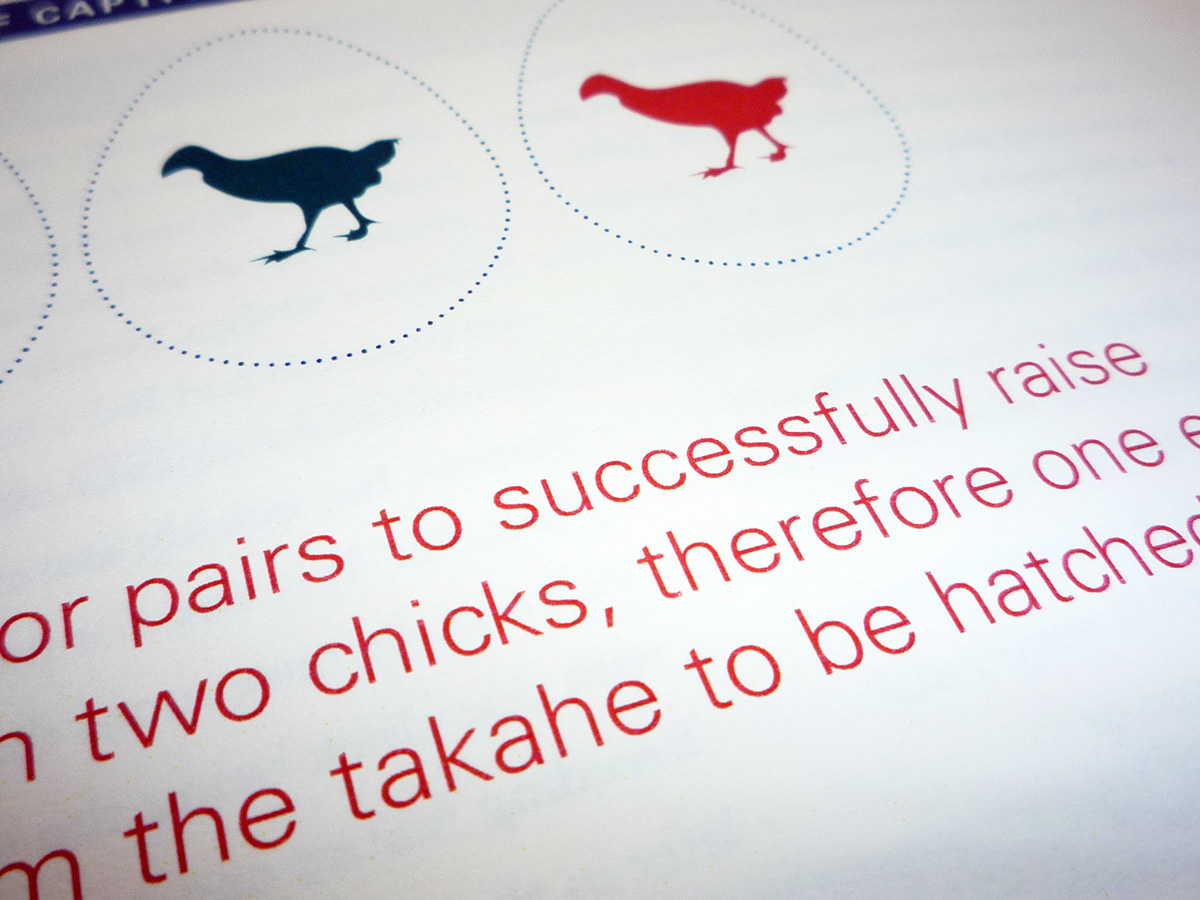 information design infographics Takahe report New Zealand Booklet timeline