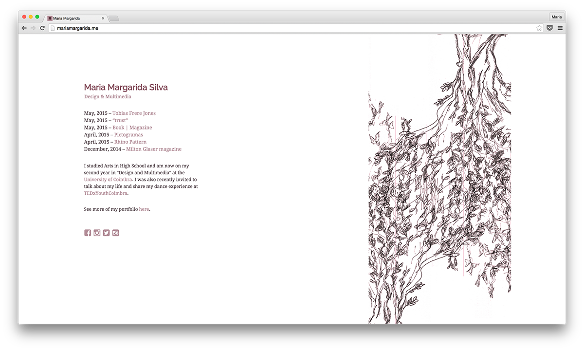 Website portfolio pink first design Web Work 