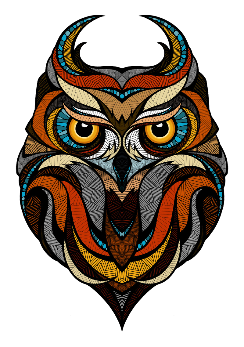 Adobe Portfolio owl snowboard ornaments contrasts symmetry FOX burton