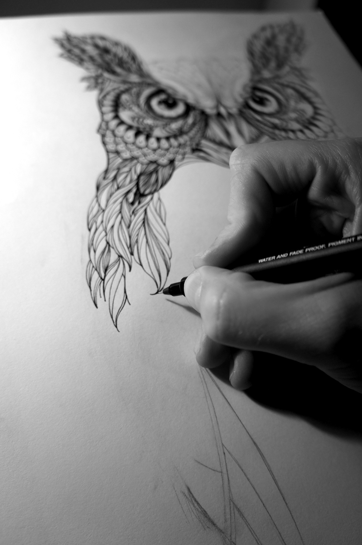 owl hand drawn eyes feathers detail intricate pen paper birds Watches illustrating black and white