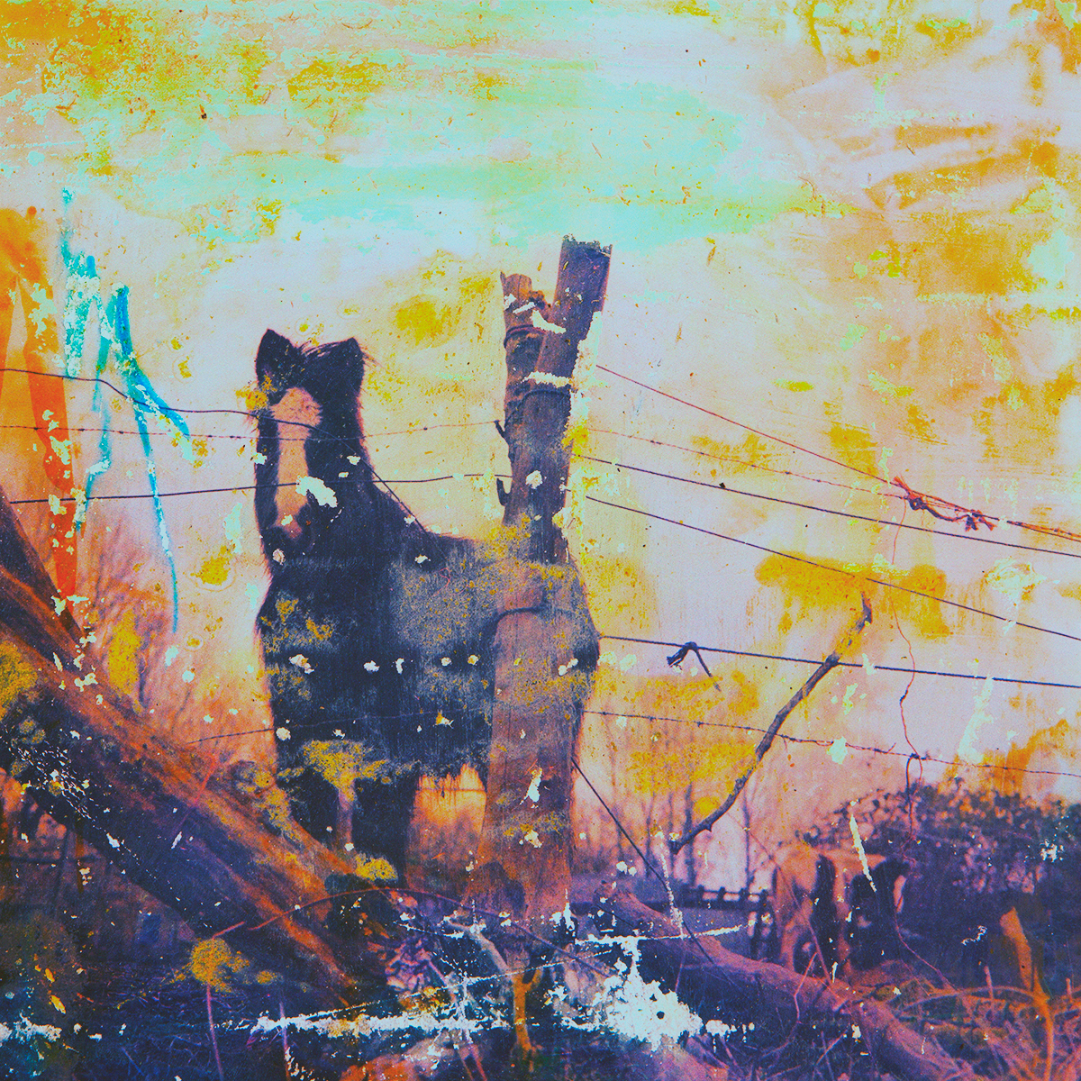 photos mediumformat analog FilmPhotography art artist mixedmedia manipulated Ambient color carousel
