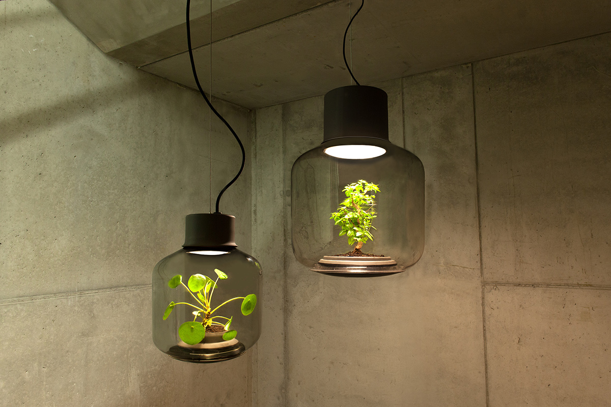 furniture design wood Holz nui Nui case we love eames Lamp Ceiling lamp lampe deckenlampe planzen Plant plants