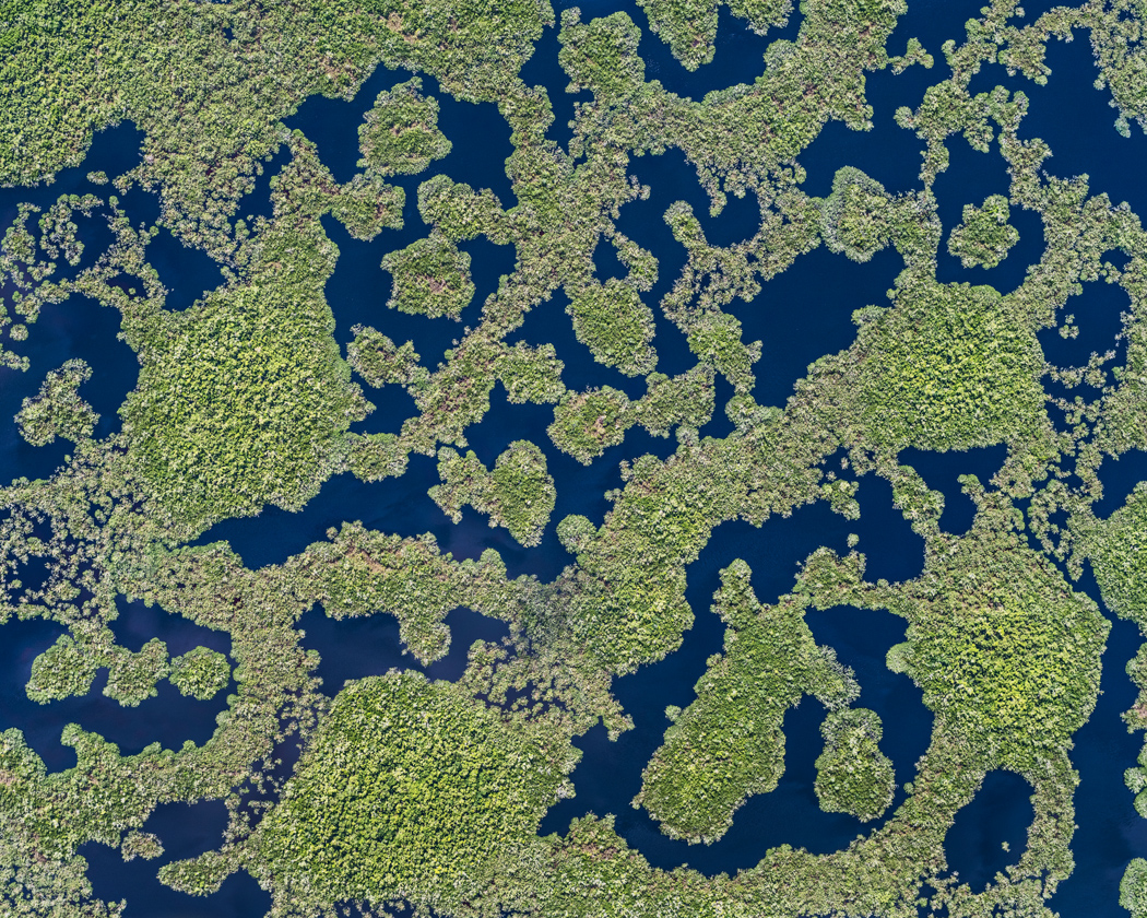Everglades florida Nature abstract Patterns Aerial streets Rocket Base Landscape usa swampland ecosystem