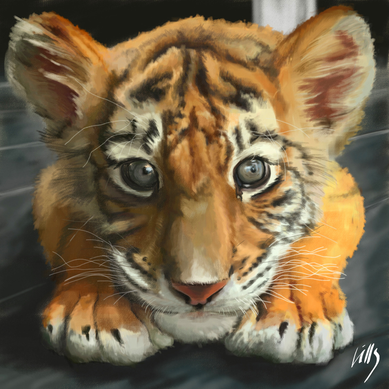 tiger cub cute fluffy Fur furry Corel Painter
