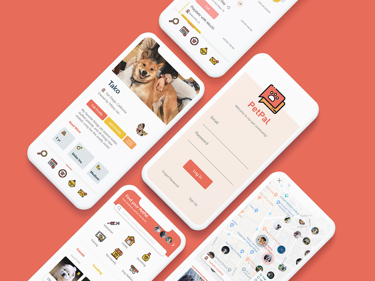 brand design identity Layout logo mobile Pet UI ux visual